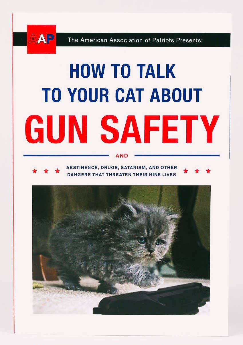 how to talk to your cat about gun safety and abstinence