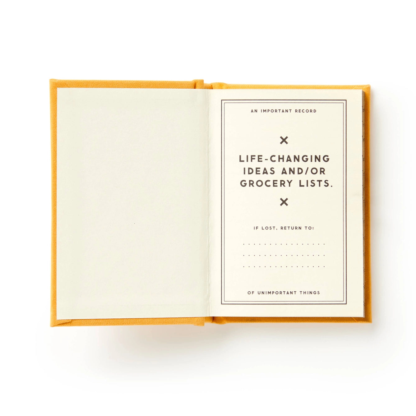 brass monkey a tiny diary for tiny thoughts