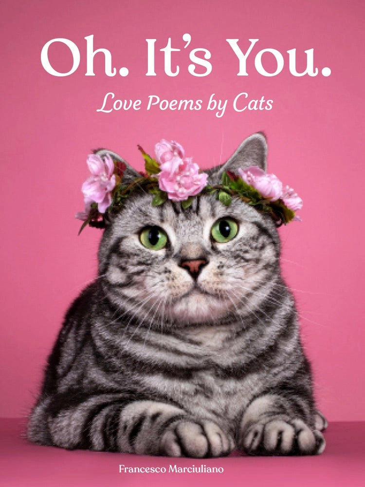 oh. it's you.