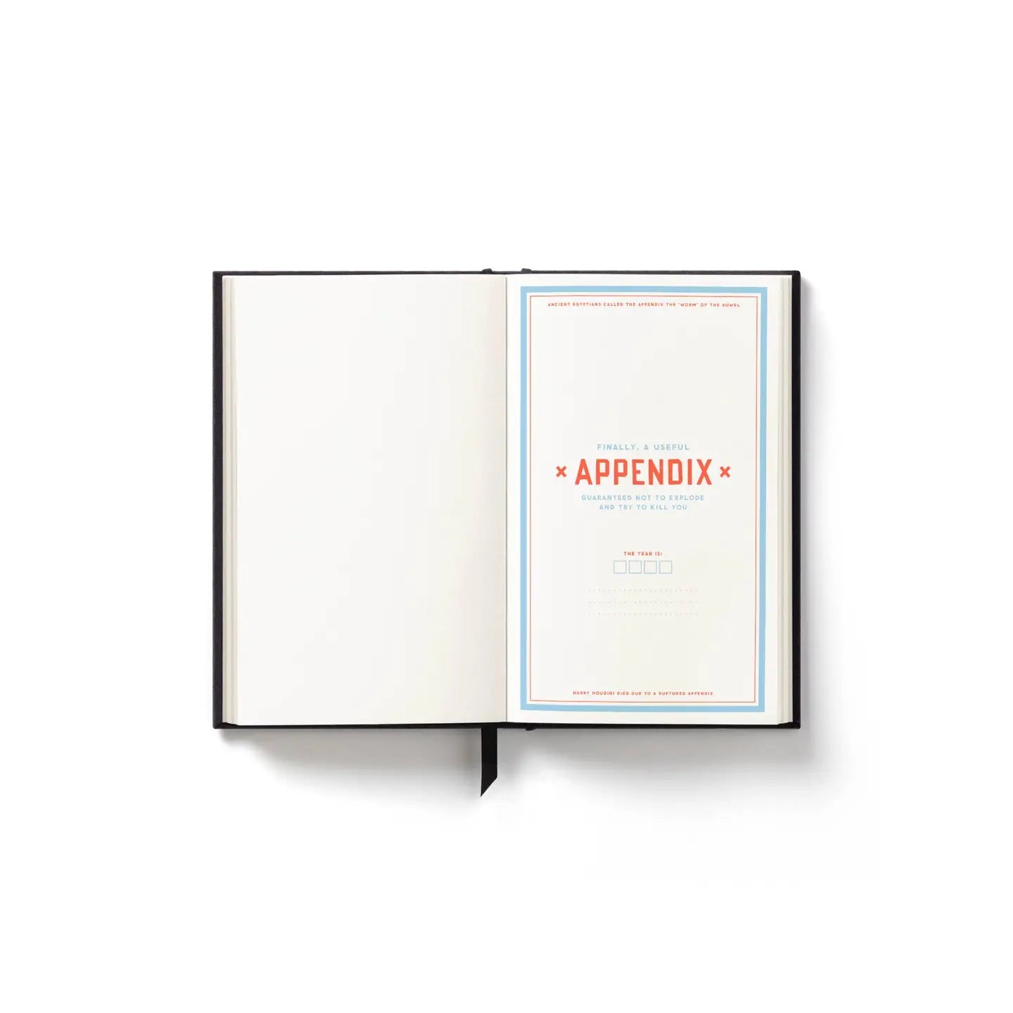 brass monkey hidden agenda undated mini planner